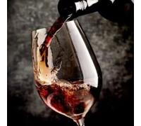 Sport Découverte Atelier Dégustation de Grands Crus à Nantes