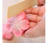 Sport Découverte Atelier Pâtisserie Japonaise à Paris