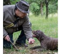 Sport Découverte Balade en 2CV et Découverte du Terroir en Bourgogne