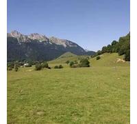 Sport Découverte Balade en Cani-Rando dans les Pyrénées Catalanes