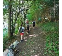 Sport Découverte Balade en Cani-Rando près de Bagnères-de-Luchon