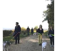 Sport Découverte Balade en Cani-Rando près de Troyes