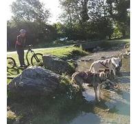 Sport Découverte Balade en Cani-Trottinette dans les Pyrénées Catalanes
