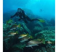 Sport Découverte Baptême de Plongée à Santa Maria Poggio