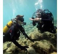 Sport Découverte Baptême de Plongée au Cap Cerbère près de Banyuls-sur-Mer