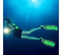 Sport Découverte Baptême de plongée et initiation à Villefontaine