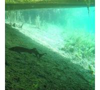 Sport Découverte Baptême de Plongée près de Strasbourg