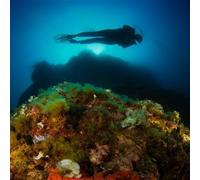 Sport Découverte Baptême de Plongée près de Villefranche-sur-Mer