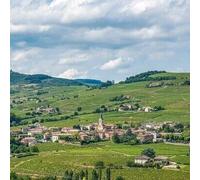 Sport Découverte Baptême en Hélicoptère près de Dijon - Les Vignobles Bourguignons