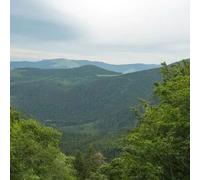 Sport Découverte Baptême en ULM Multiaxe à Saint-Dié-des-Vosges