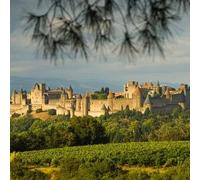 Sport Découverte Baptême en ULM Multiaxe près de Narbonne