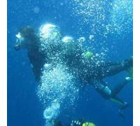 Sport Découverte Brevet de Plongée Niveau 1 dans le Golfe de Sagone