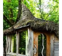 Sport Découverte Cabane dans les Arbres près de Dole