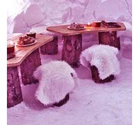 Sport Découverte Diner dans un Igloo aux Arcs