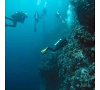 Sport Découverte Initiation à la plongée à Angers
