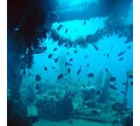 Sport Découverte Initiation à la Plongée à Saint-Cyprien près de Perpignan