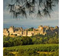 Sport Découverte Initiation au Pilotage d'ULM Multiaxe près de Narbonne