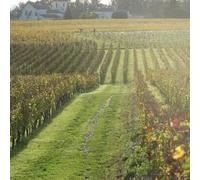 Sport Découverte Journée Détente et Soins près de Bordeaux