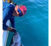Sport Découverte Pêche au gros à Port-Saint-Louis-du-Rhône en Camargue