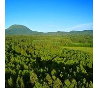 Sport Découverte Pilotage d'ULM Pendulaire près de Clermont-Ferrand