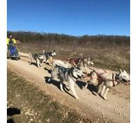 Sport Découverte Randonnée en Cani-kart près de Troyes