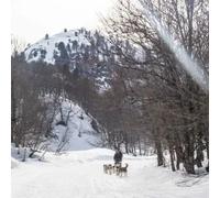 Sport Découverte Randonnée en Chiens de Traîneau à La Pierre Saint-Martin