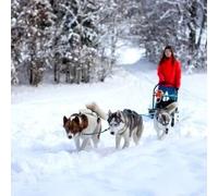Sport Découverte Randonnée en Chiens de Traîneau à Mont-Saxonnex
