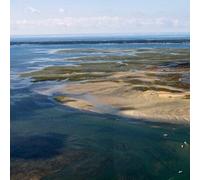 Sport Découverte Randonnée Jet Ski vers l'Île aux Oiseaux - Bassin d'Arcachon