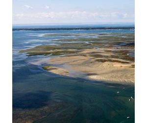 Sport Découverte Randonnée Jet Ski vers l'Île aux Oiseaux - Bassin d'Arcachon