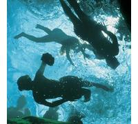 Sport Découverte Randonnée Palmée à Quiberon