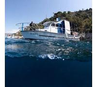 Sport Découverte Randonnée Palmée à Sainte-Maxime