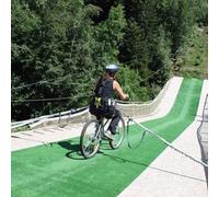 Sport Découverte Saut à l'élastique depuis un Tremplin à Annecy