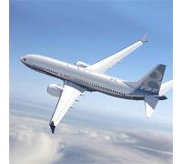 Sport Découverte Simulateur de Vol sur Vérins Boeing à Paris Roissy-CDG