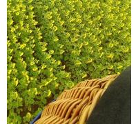 Sport Découverte Vol en Montgolfière à La Roche-sur-Yon en Vendée