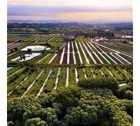 Sport Découverte Vol en Montgolfière près de Lille