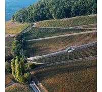 Sport Découverte Week end Détente à Beaune et Vol en Montgolfière