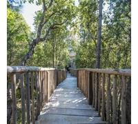 Sport Découverte Week-end en amoureux en Cabane dans les Arbres à Porto-Vecchio