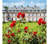 Sport Découverte Week-end Gourmand au Château de Sissi près d'Etretat