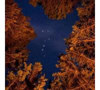 Sport Découverte Week End Stage de Survie près de Lorient