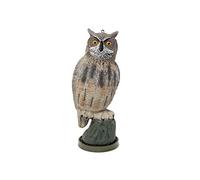 Sport plast Effaroucheur Hibou 50 cm Grand Format Anti Pigeons et Oiseaux - Répulsif Extérieur Jardin Balcon - Faux Rapace Deterrent pour Cerisier, Corbeau et Mouette