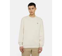 Sport Sweatshirt HOMME Dickies Gris mousse Oakport pullover Crew