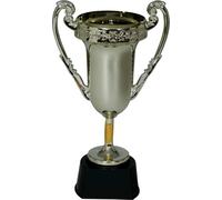 Sport Trophée Prix gagnant Décoration pour carnaval Célébrations et compétitions 1 place Coupe pour adultes Costume Fête Accessoire pour vainqueur Trophée de course Affichage, couleur : or