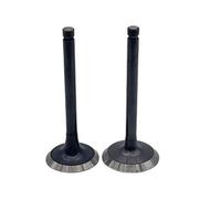 SPORTARC Carburant de rechange pour Exmark TimeCutter, modèle 127-9206, compatible avec 139-0684, construction en plastique, partie du système de carburant de tondeuse à gazon