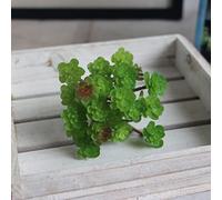 SPORTARC Plante succulente artificielle en pot, plantes succulentes artificielles décoratives, micro paysage, 24 têtes, décoration d'intérieur, plantes artificielles, C