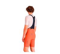 Sportful Cuissard Pulse