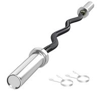 SPORTNOW Barre d'haltères en acier 120 cm Barre Curl EZ Ø50 mm avec 2 boucles Charge 100 kg Barre olympique pour les disques Ø5 cm Entraînement en salle de gym Maison Noir et Argent