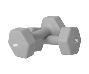 SPORTNOW Lot de 2 haltères courts en fonte avec poids, 2 x 6 kg, pour hommes et femmes, pour la maison, la salle de sport, la musculation