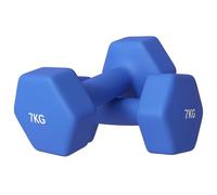 SPORTNOW Lot de 2 haltères hexagonaux et antidérapants 2x7 kg pour l'entraînement, poids de gymnastique en métal et en plastique, 22,5x10,5x10,5 cm, bleu