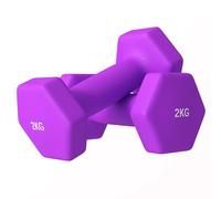 SPORTNOW Lot de 2 haltères hexagonaux et antidérapants de 2 kg pour l'entraînement, haltères de gymnastique en métal et en plastique, 16x7,5x7,5 cm, violet