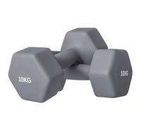 SPORTNOW Set de 2 Haltères Hexagonaux Antidérapants 2x10kg Gris